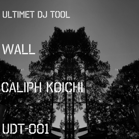 Wall Drum2 (Original Mix)