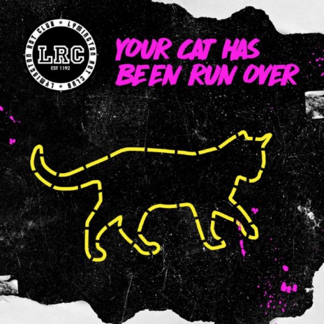 Your Cat Has Been Run Over (Original Mix)