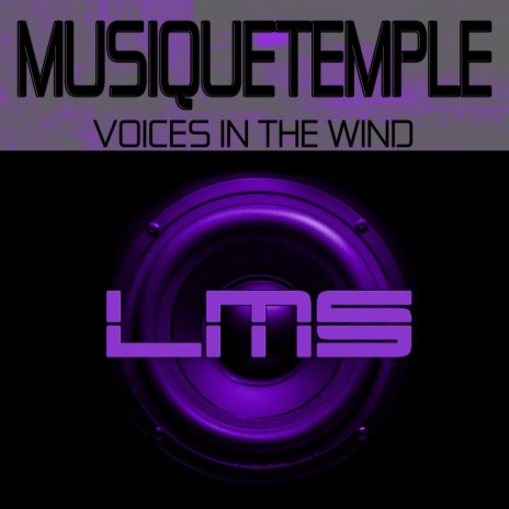 Voices In The Wind (Main Mix) | Boomplay Music