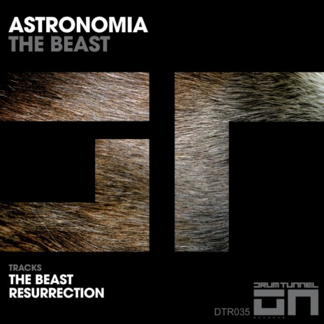 The Beast (Original Mix) | Boomplay Music