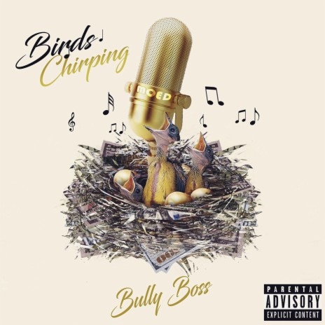 Birds Chirping | Boomplay Music