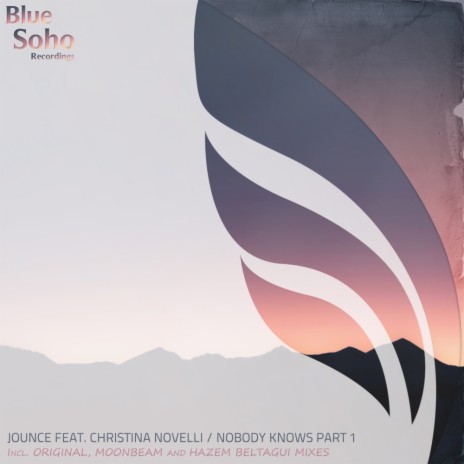 Nobody Knows (Hazem Beltagui Remix) ft. Christina Novelli