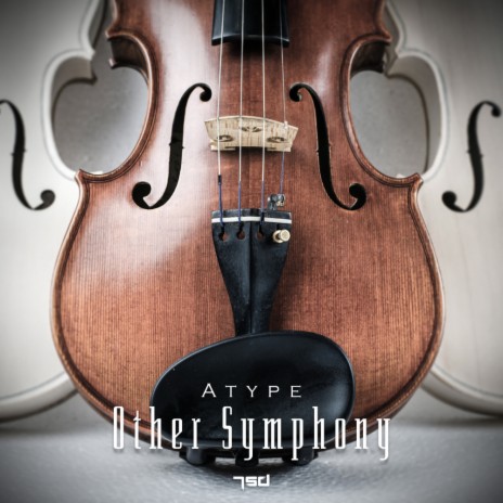Other Symphony (Original Mix)