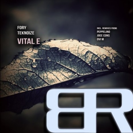 Vital E (Original Mix) ft. Teknoize