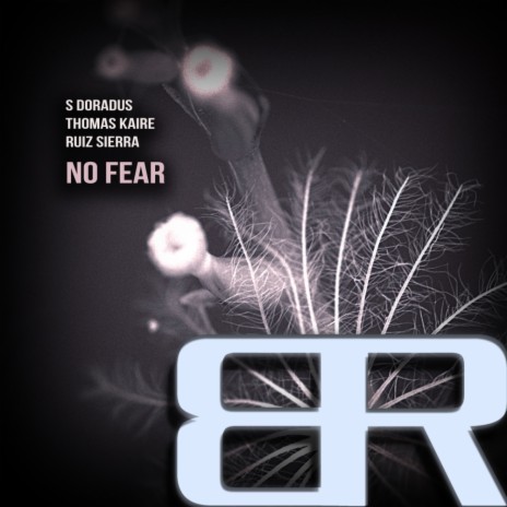 No Fear (Original Mix) ft. S Doradus & Thomas Kaire