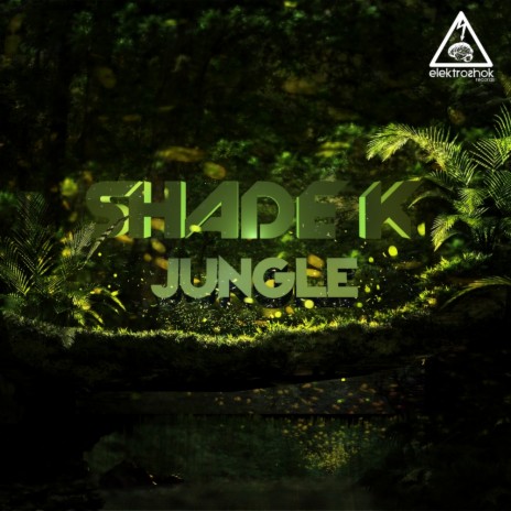 Jungle (Original Mix) | Boomplay Music