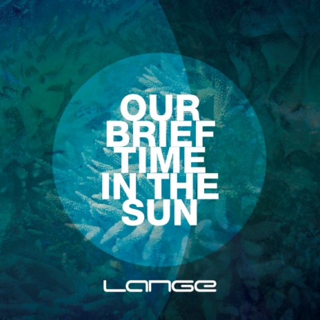 Our Brief Time In The Sun (Original Mix)