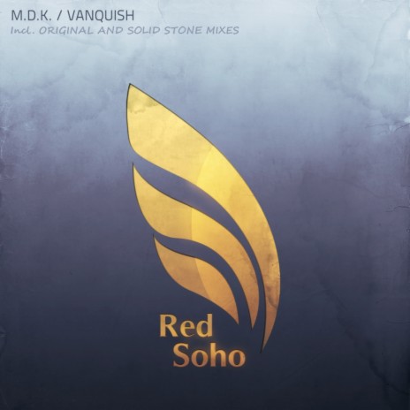 Vanquish (Solid Stone Remix) | Boomplay Music