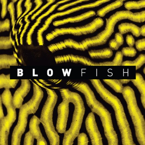 Blowfish (Original Mix)