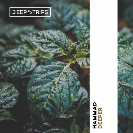 Deeper (Original Mix) | Boomplay Music