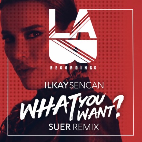 What You Want (SUER Remix) ft. SUER