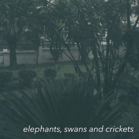 Elephants, Swans and Crickets