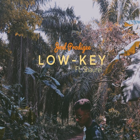 Low-Key ft. Shaurel