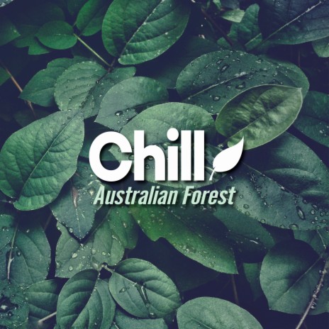 Australian Forest