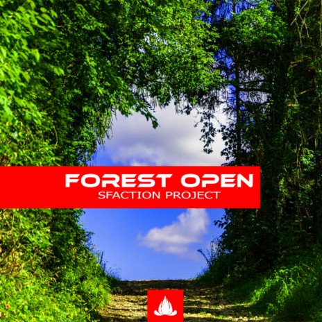 Forest Open (Original Mix)