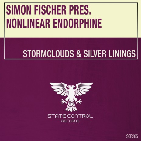 Stormclouds & Silver Linings (Extended Mix) | Boomplay Music