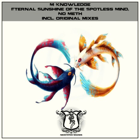 Eternal Sunshine of The Spotless Mind (Original Mix)