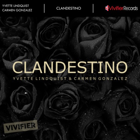 Clandestino (Original Mix) ft. Carmen Gonzalez | Boomplay Music