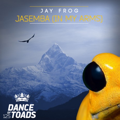 Jasemba (In My Arms) (Radio Edit)