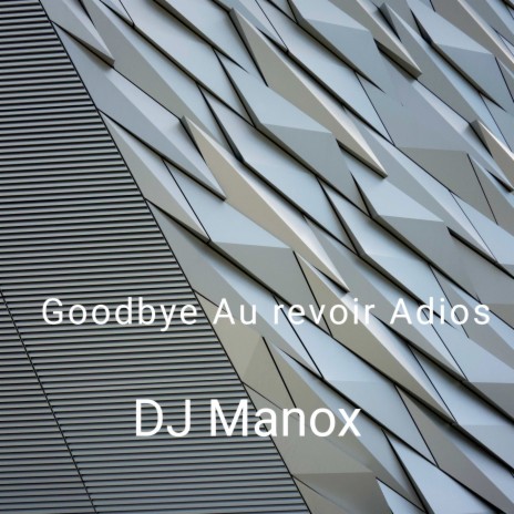 Goodbye Au Revoir Adios | Boomplay Music