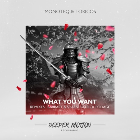 What You Want (Patrick Podage Remix) ft. Toricos