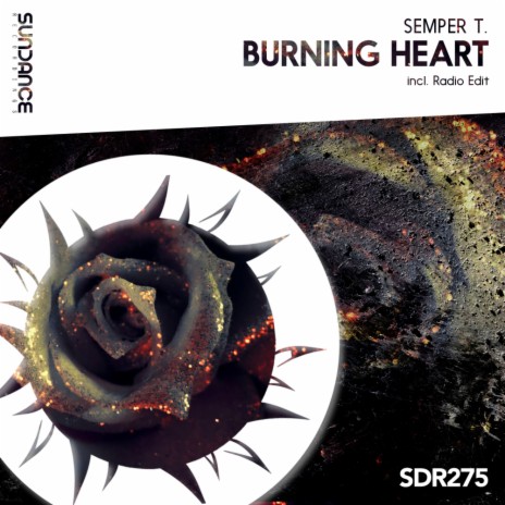 Burning Heart Radio Edit By Semper T Boomplay Music