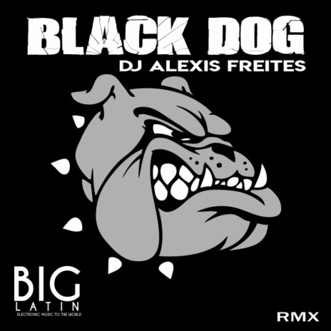 Black Dog (Original Mix)