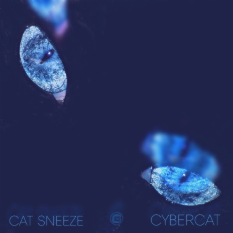 Cat Sneeze (Original Mix) | Boomplay Music
