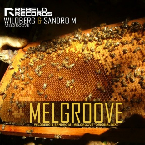 Melgroove (Original Mix) ft. Sandro M.