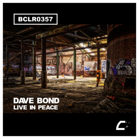 Live In Peace (Original Mix) | Boomplay Music