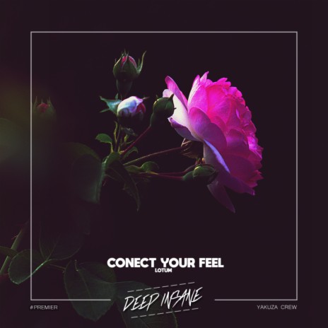 Conect Your Feel (Original Mix)