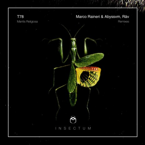 Mantis (Original Mix)