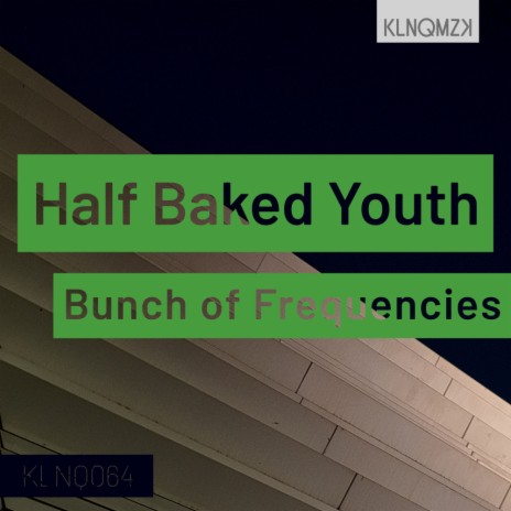 Half Baked Youth (Original Mix)