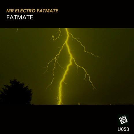 Fatmate 4