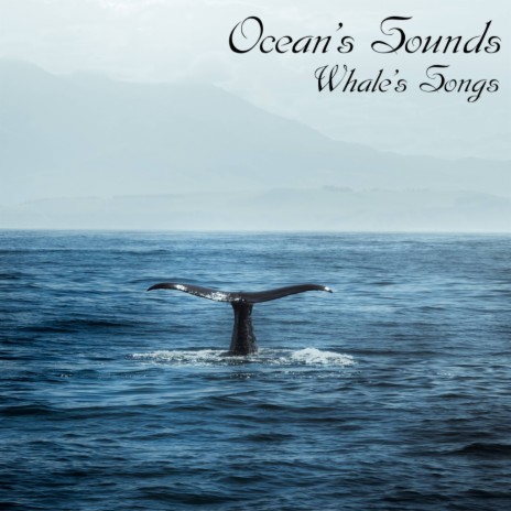 Whale's Songs (Original Mix) | Boomplay Music