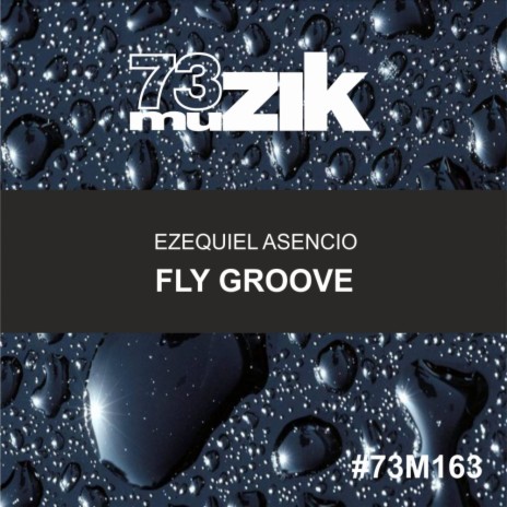 Fly Groove (Original Mix)