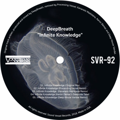 Infinite Knowledge (Deep House Vandal Remix) | Boomplay Music