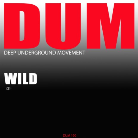 Wild (Original Mix) | Boomplay Music