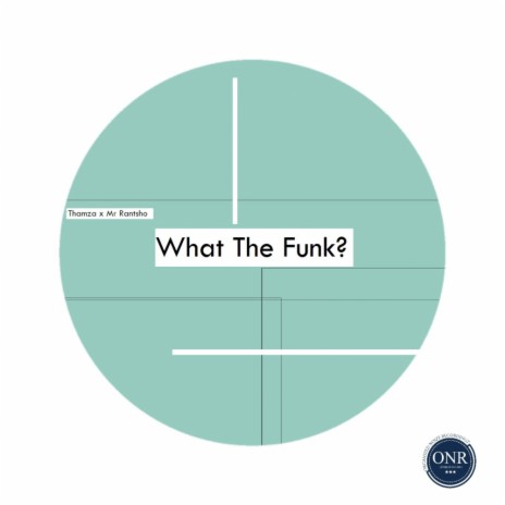 What The Funk? (The Boardmembers WTF Mix) ft. Mr Rantsho