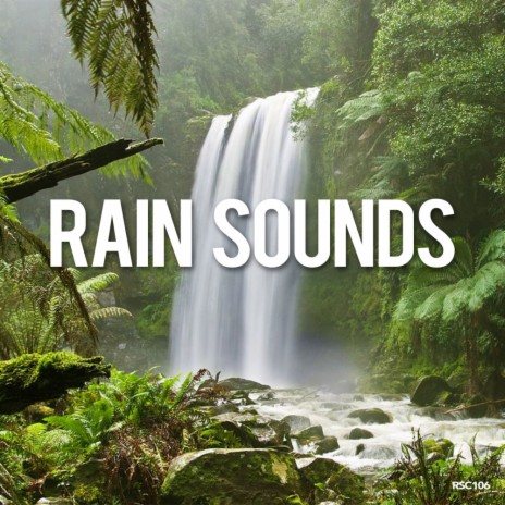 Rain Sounds - Rainforest & Animals (Original Mix) MP3 Download & Lyrics |  Boomplay