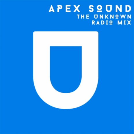 The Unknown (Radio Mix) | Boomplay Music