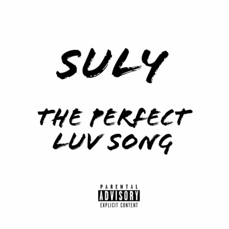 The Perfect Luv Song | Boomplay Music