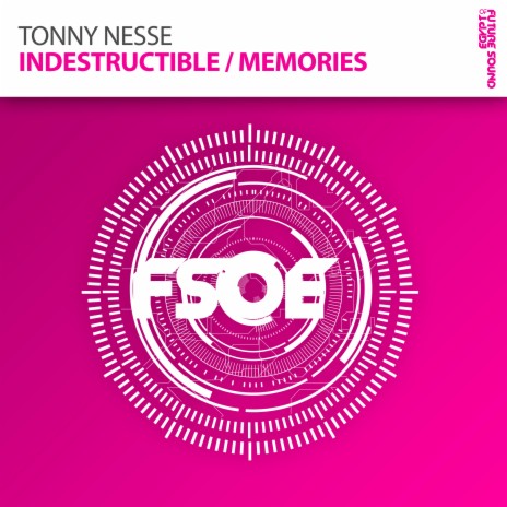 Indestructible (Radio Edit) | Boomplay Music