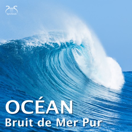 Soirée d'été sur la plage - léger bruit de mer en été ft. Projet sur le bruit océanique | Boomplay Music