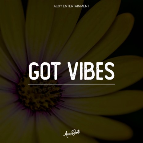 Got Vibes | Boomplay Music