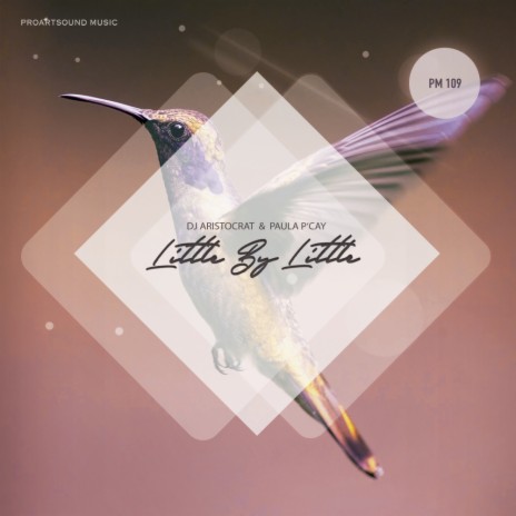 Little By Little (Original Mix) ft. Paula P'cay | Boomplay Music