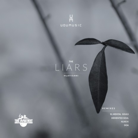 The Liars (El Mental Souls Remix) ft. Hlayisani