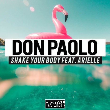 Shake Your Body (Radio Edit) ft. Arielle | Boomplay Music