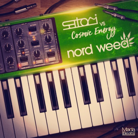 Nord Weed (Original Mix) ft. Cosmic Energy