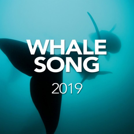 Whale Song In Norway (Original Mix) | Boomplay Music
